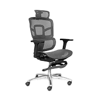 Ghế Công Thái Học (Ergonomic)